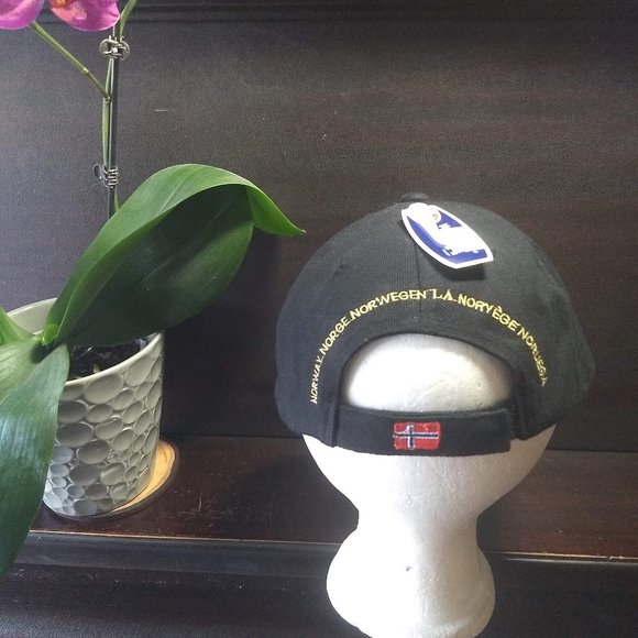 Norway baseball cap NWT 🎈HOST PICK🎈 - Picture 3 of 7
